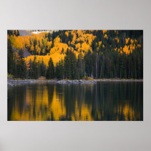 Reflektion Poster