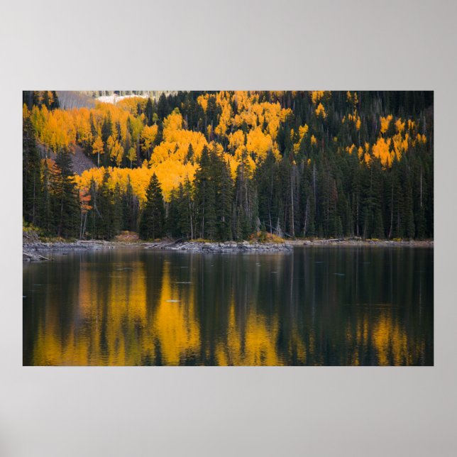 Reflektion Poster (Framsidan)