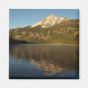 Reflektion vid Jenny Lake I Magnet
