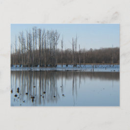 Reflektion Vykort