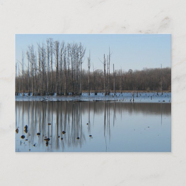 Reflektion Vykort (Framsida)