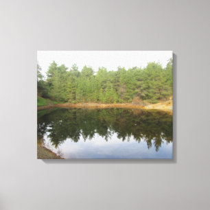 Reflektionen gräs Träd Sjö Canvastryck