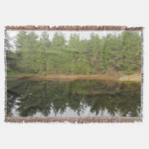 Reflektionen gräs Träd Sjö