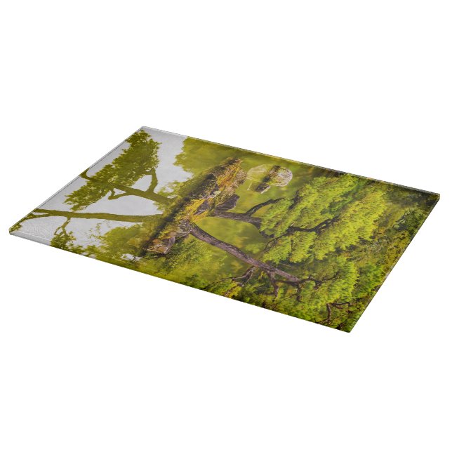 Reflektioner (Hörn)