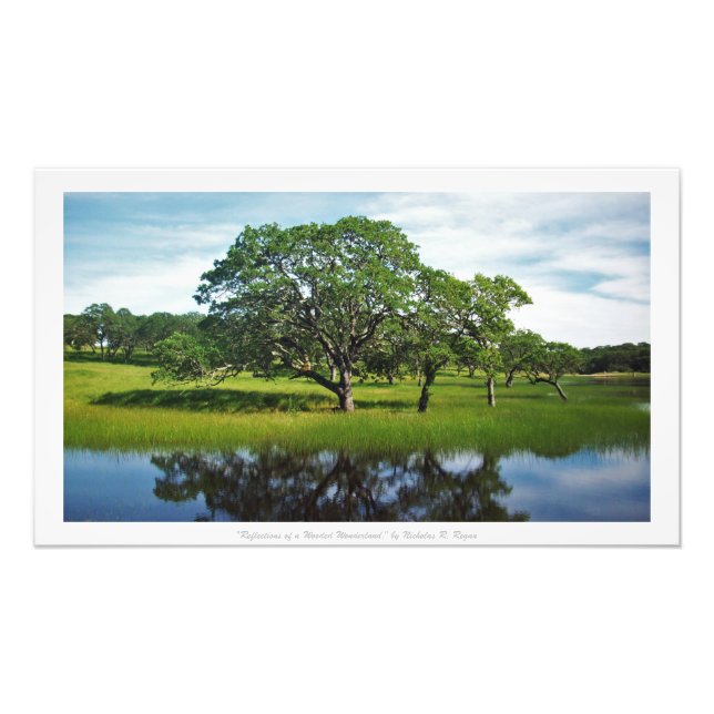 "Reflektioner av ett Wooded Wonderland", naturdeko Fototryck (Framsidan)