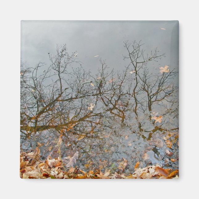 Reflektioner av höstmagnet magnet (Framsidan)