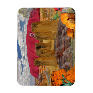 REFLEKTIONER AV OZ Australian Outback Magnet