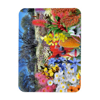 REFLEKTIONER AV OZ Australian Wildblommor Magnet