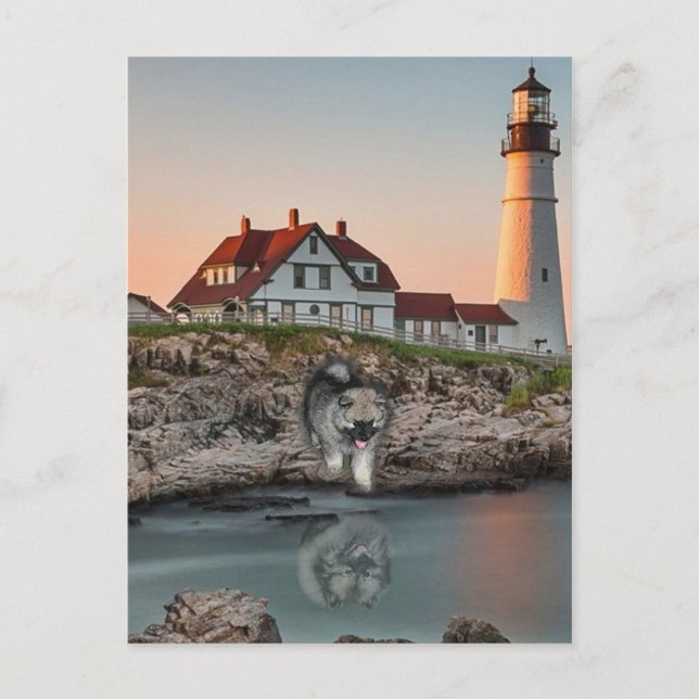 Reflektioner för fyr vykort (Framsida)