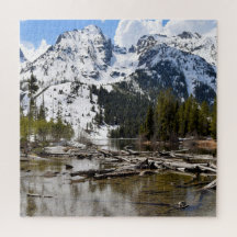 Reflektioner för Teton Mountain Stream - 20 x 20 -