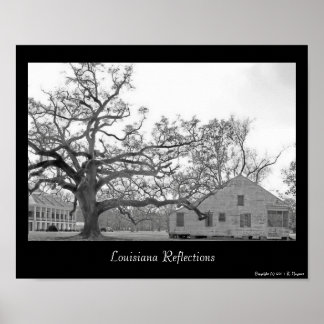 Reflektioner från Louisiana Poster