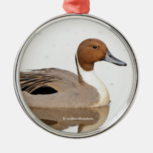 Reflektioner från norra Pintail Anka Julgransprydnad Metall
