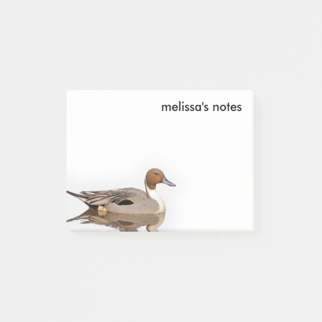 Reflektioner från norra Pintail Anka Post-it Block (Framsida)