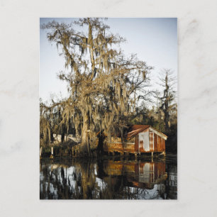 Reflektioner från St Charles Parish Swamp Vykort