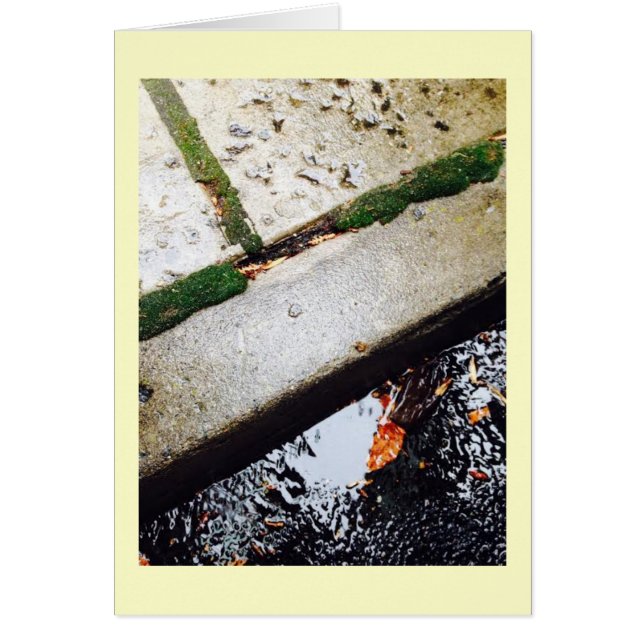 Reflektioner Hälsningskort (Framsidan)