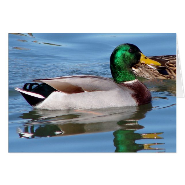 Reflektioner Hälsningskort (Framsidan Horizontal)