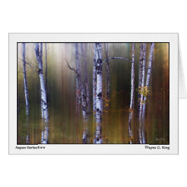 Reflektioner i aspen OBS kort