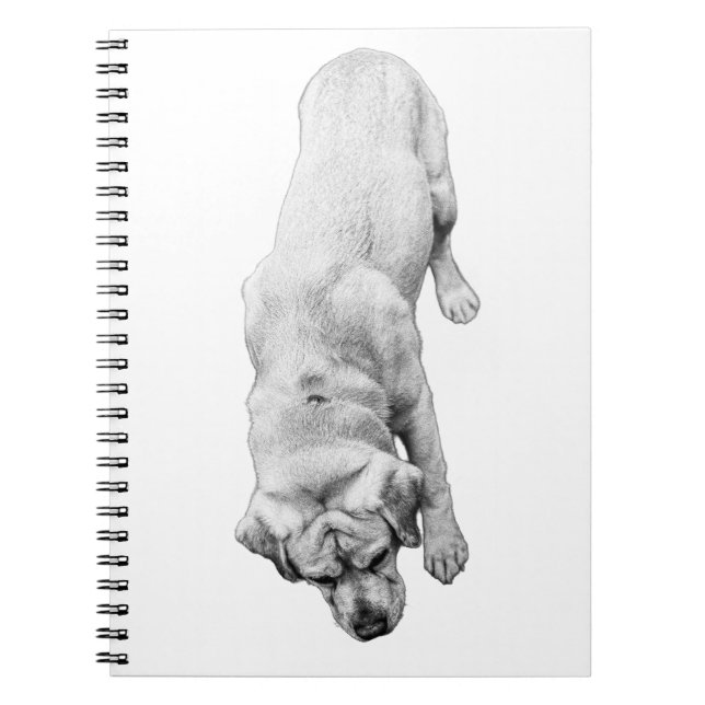 Reflektioner i Bläck Anteckningsbok (Framsidan)