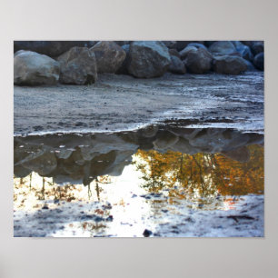 Reflektioner i en pudltyp poster