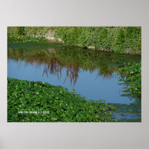 Reflektioner i Grönt Poster