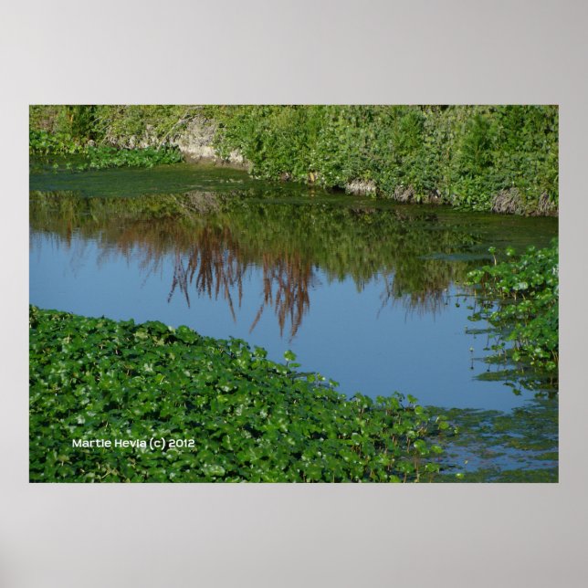 Reflektioner i Grönt Poster (Framsidan)