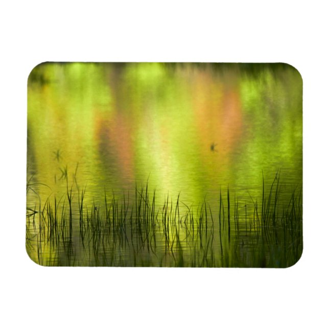 Reflektioner i Mirror Lake | Yosemite Magnet (Horisontell)