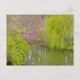 Reflektioner i naturen vykort