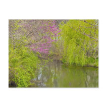 Reflektioner i naturen