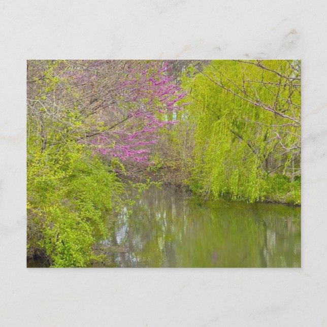 Reflektioner i naturen vykort (Framsida)