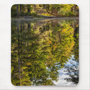 Reflektioner i Red Eagle Pond Vita berg Musmatta