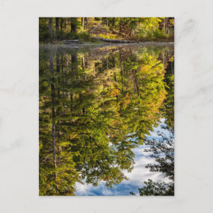 Reflektioner i Red Eagle Pond Vita berg Vykort