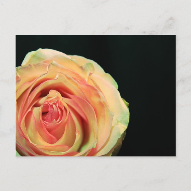 Reflektioner i ro vykort (Framsida)