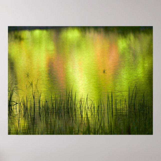 Reflektioner i Spegel Sjö | Yosemit Poster (Framsidan)