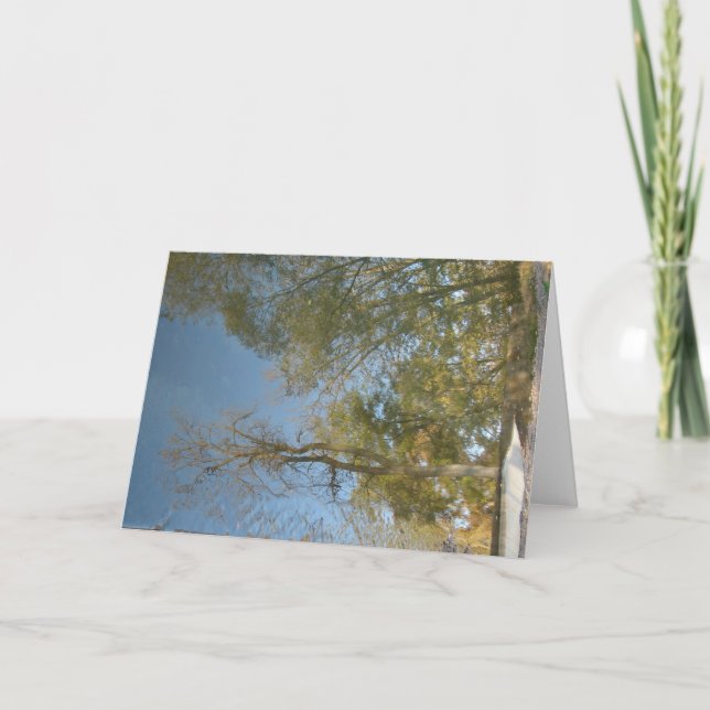 Reflektioner i Träd vid Mill Kort (Framsida)