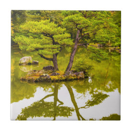 Reflektioner Kakelplatta