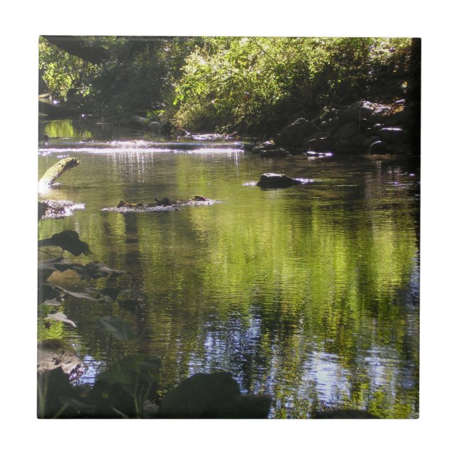 Reflektioner Kakelplatta (Framsidan)