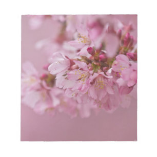 Reflektioner kring Blek Rosa av Sakura Cherry Blom Anteckningsblock