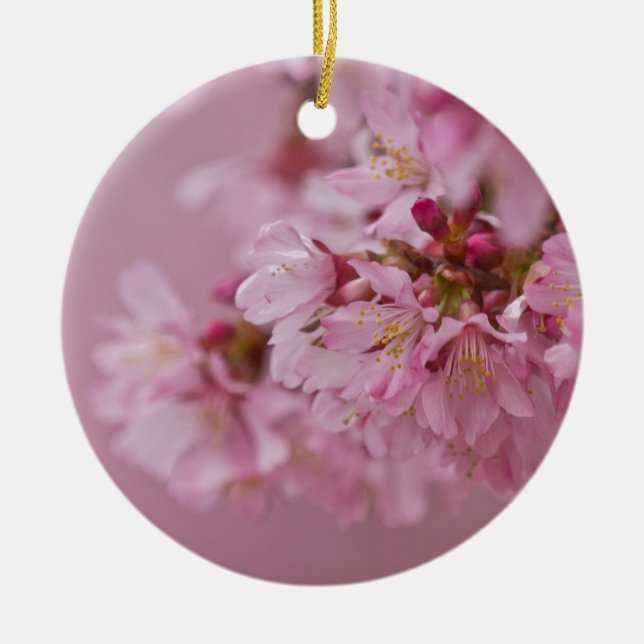 Reflektioner kring Blek Rosa av Sakura Cherry Blom Julgransprydnad Keramik (Framsidan)