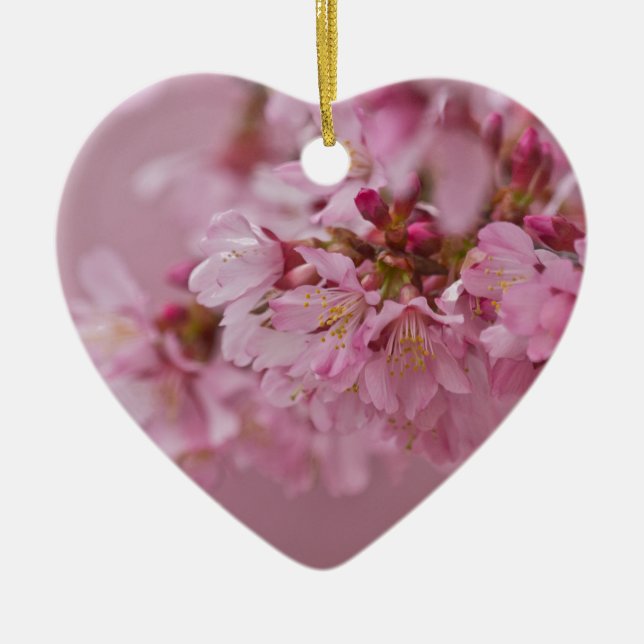 Reflektioner kring Blek Rosa av Sakura Cherry Blom Julgransprydnad Keramik (Framsidan)
