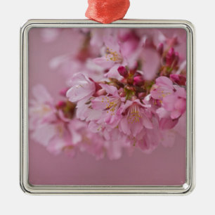 Reflektioner kring Blek Rosa av Sakura Cherry Blom Julgransprydnad Metall