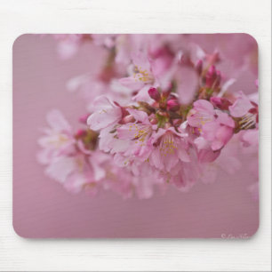 Reflektioner kring Blek Rosa av Sakura Cherry Blom Musmatta