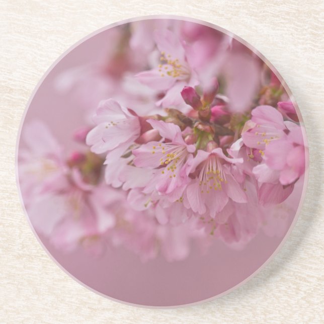 Reflektioner kring Blek Rosa av Sakura Cherry Blom Underlägg (Framsidan)