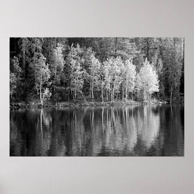 Reflektioner Poster (Framsidan)