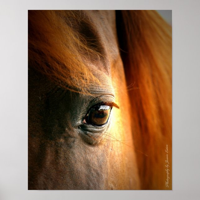 Reflektioner Poster (Framsidan)