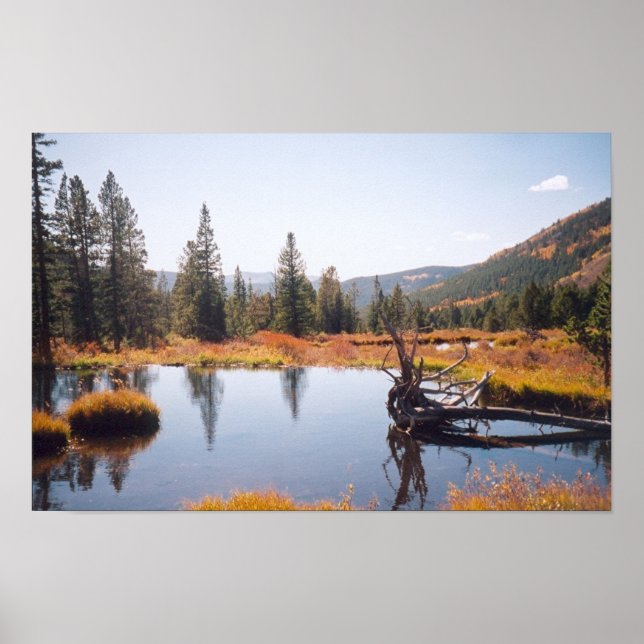 Reflektioner Poster (Framsidan)