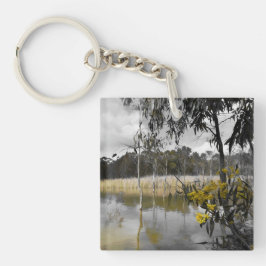 Reflektioner under Grått Himmel