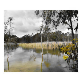 Reflektioner under Grått Himmel Fototryck