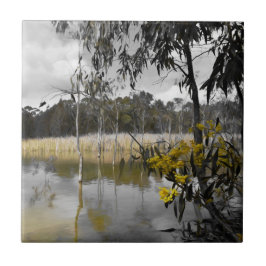 Reflektioner under Grått Himmel Kakelplatta