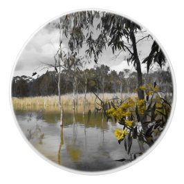 Reflektioner under Grått Himmel Knopp