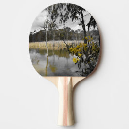 Reflektioner under Grått Himmel Pingisracket